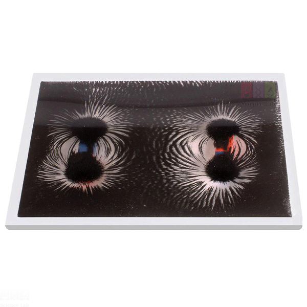 Magnetic Pole Pattern